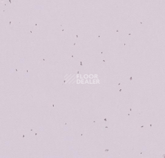 Линолеум Forbo Sphera Energetic 50234 lilac фото 1 | FLOORDEALER